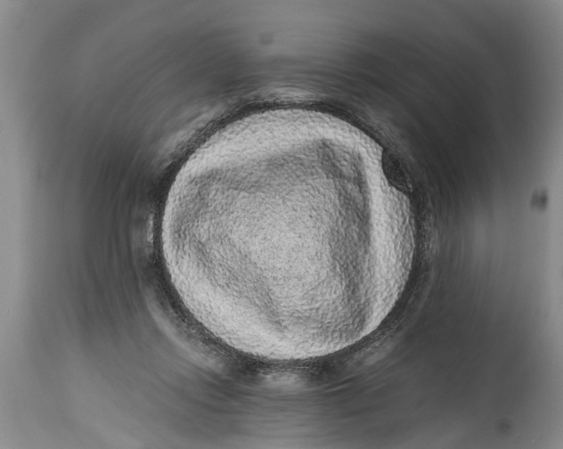 X0000114410358200911061607