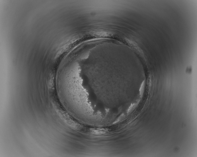 X0000114410359200911061607