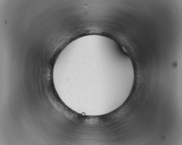 X0000114410362200911061607