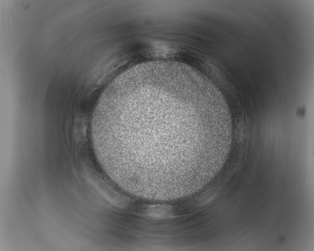 X0000114410363200911061607