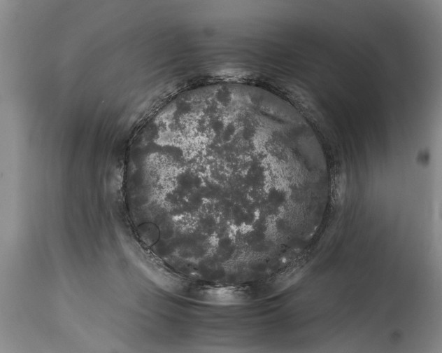 X0000114410365200911061607