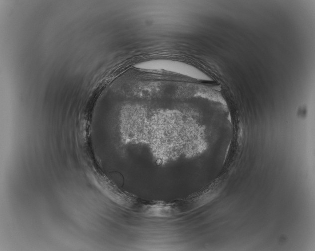 X0000114410366200911061607