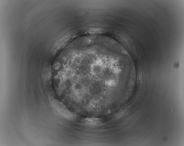 X0000114410367200911061607