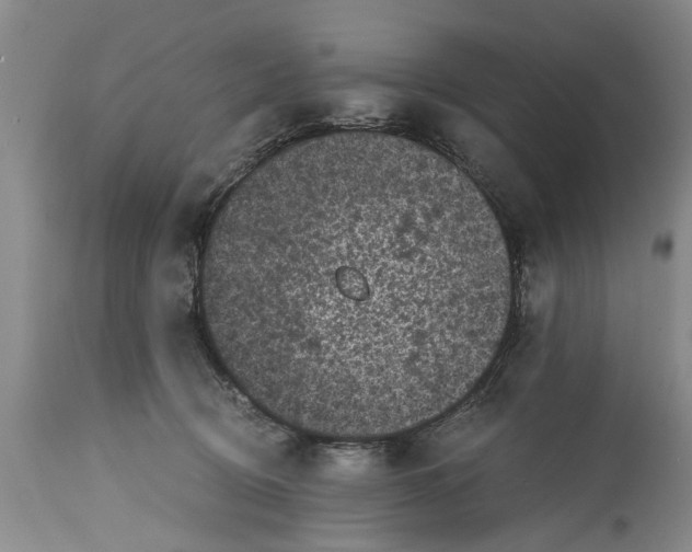 X0000114410370200911061607