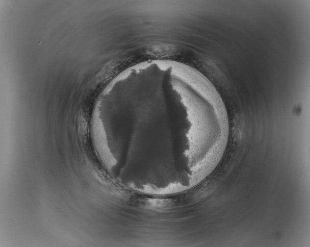 X0000114410371200911061607