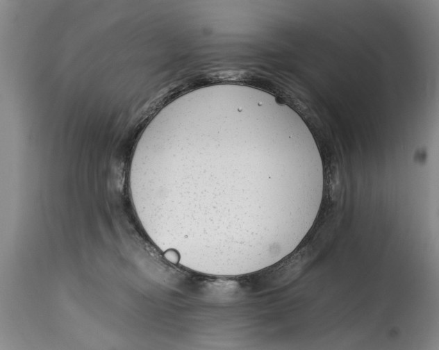 X0000114410374200911061607