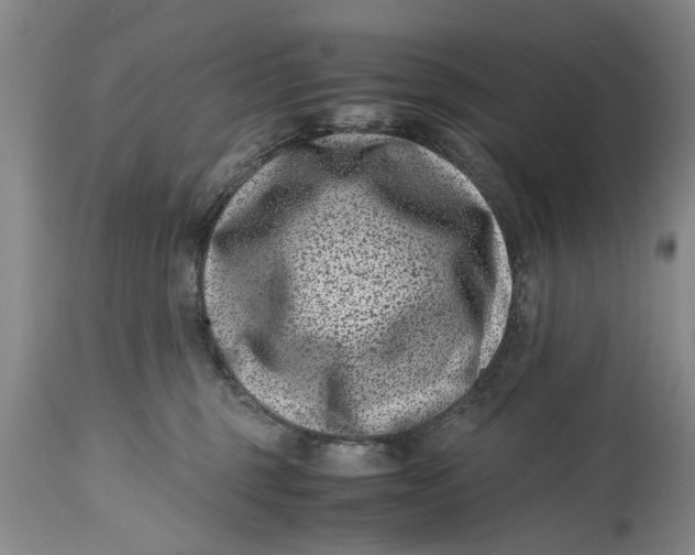 X0000114410375200911061607