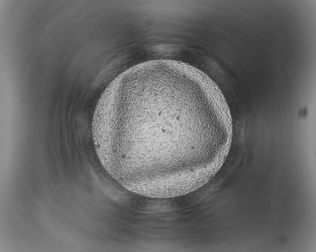 X0000114410377200911061607