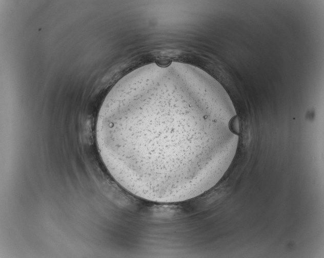 X0000114410378200911061607