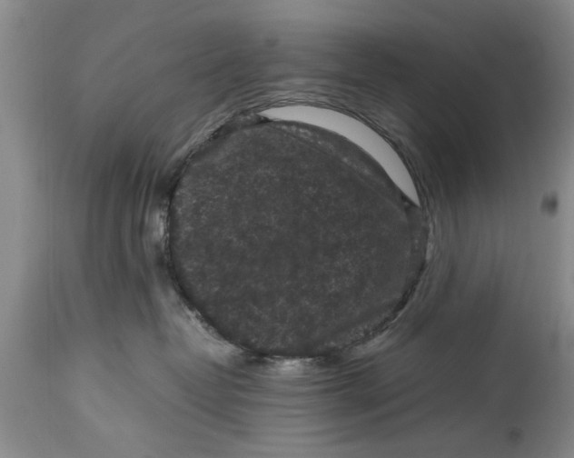 X0000114410382200911061607