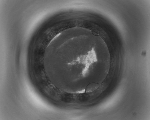 X0000114410383200911061607