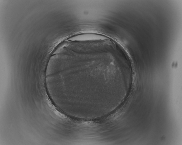 X0000114410385200911061606