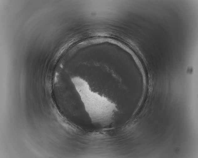 X0000114410386200911061606