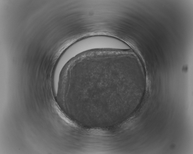 X0000114410389200911061606