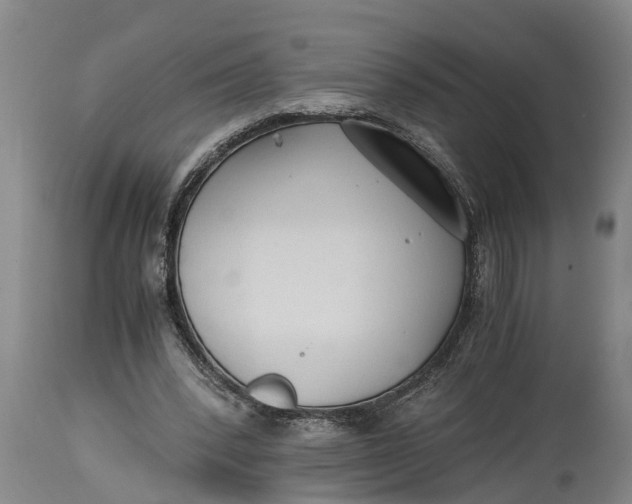 X0000114410392200911061606