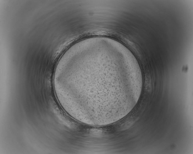 X0000114410394200911061606