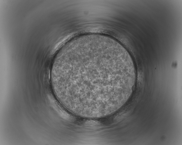 X0000114410397200911061606