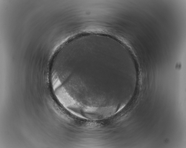 X0000114410399200911061606