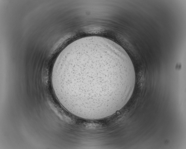 X0000114410400200911061606