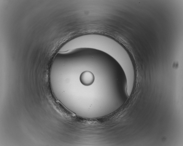 X0000114410401200911061606