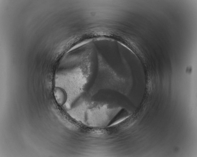 X0000114410402200911061606