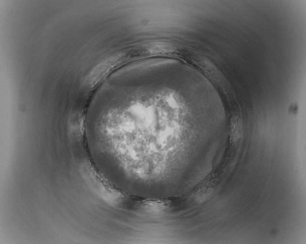 X0000114410405200911061606