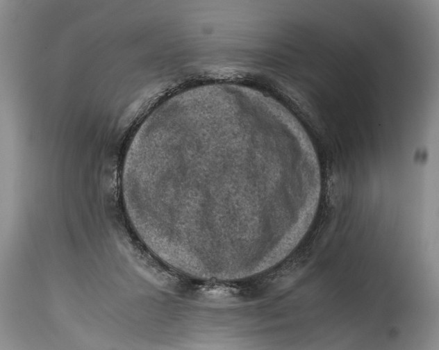 X0000114410407200911061606