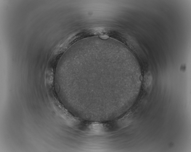 X0000114410413200911061606