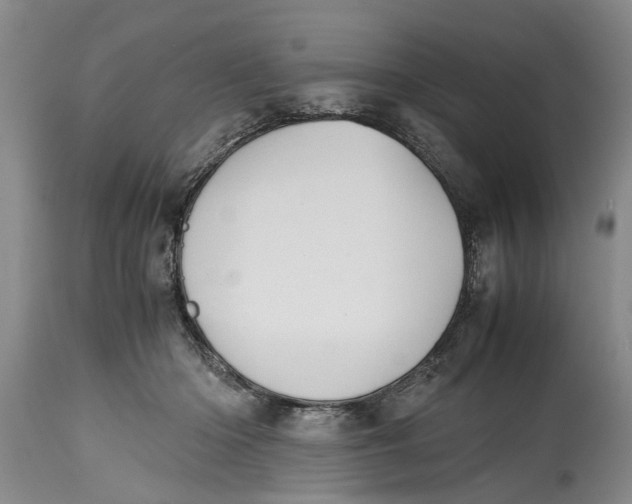 X0000114410414200911061606