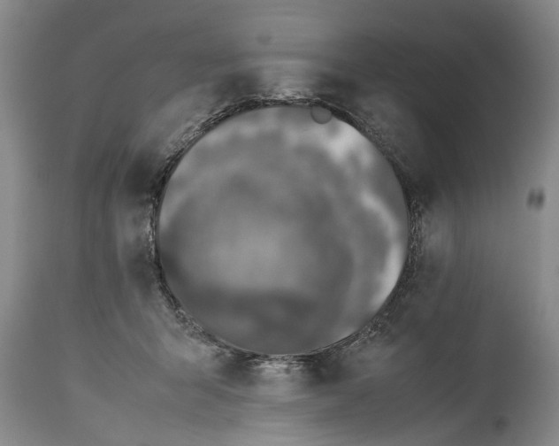 X0000114410415200911061606