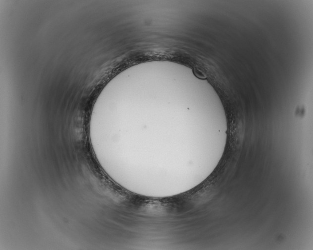 X0000114410416200911061606