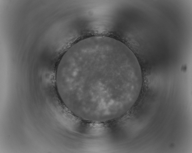 X0000114410419200911061606