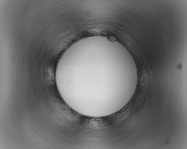 X0000114410420200911061606