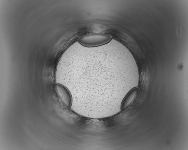 X0000114410421200911061606