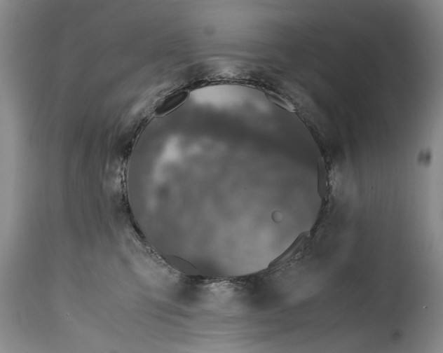 X0000114410423200911061605