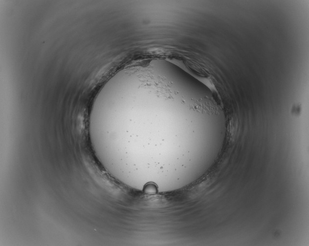 X0000114410424200911061605