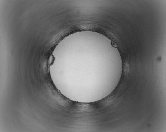 X0000114410428200911061605