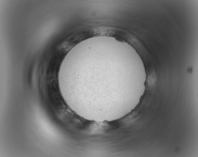 X0000114410429200911061605