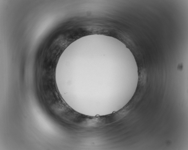 X0000114410430200911061605