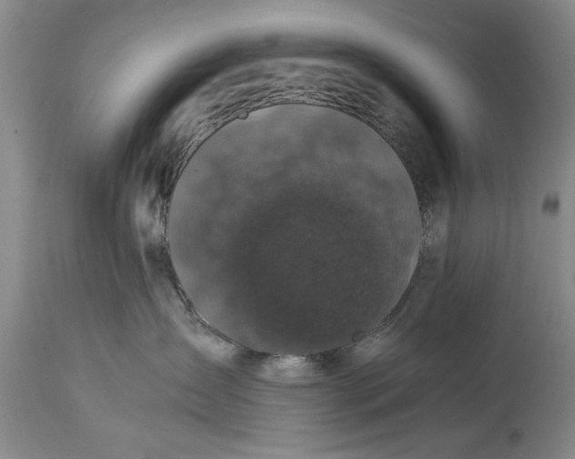 X0000114410431200911061605