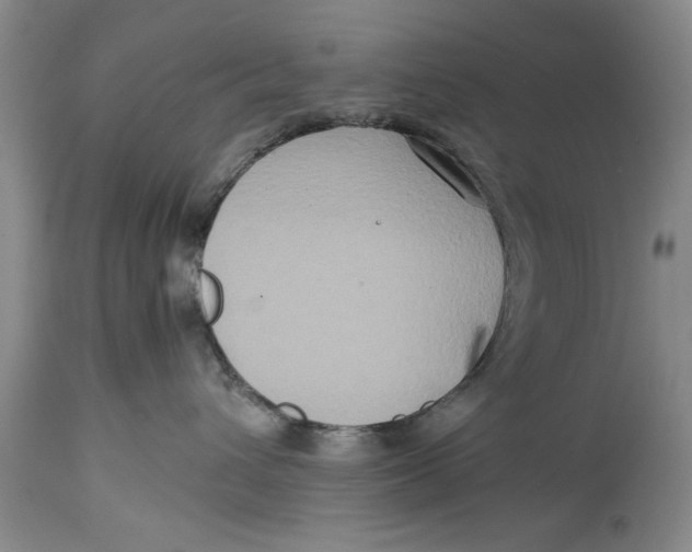 X0000114410432200911061605