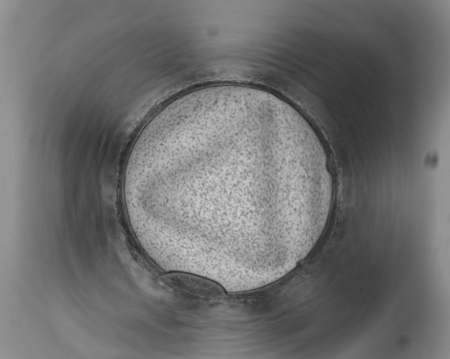 X0000114410434200911061605