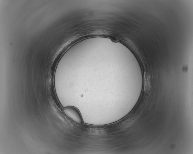 X0000114410435200911061605