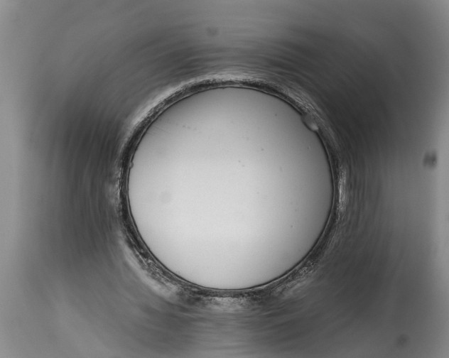 X0000114410436200911061605