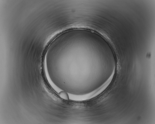 X0000114410438200911061605