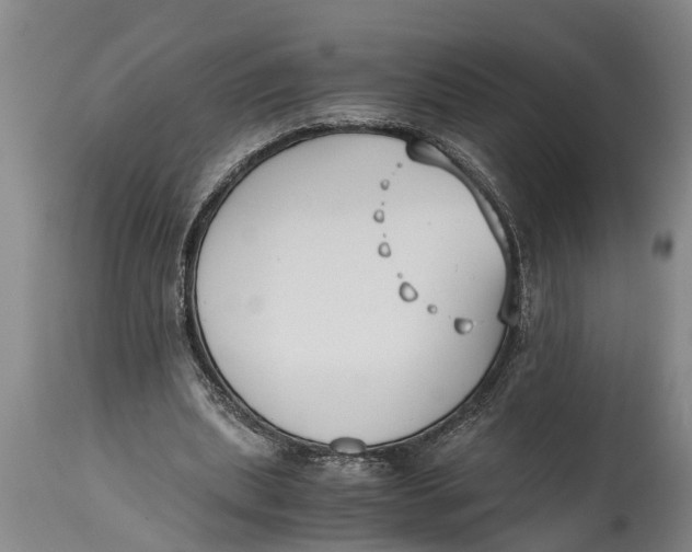 X0000114410439200911061605