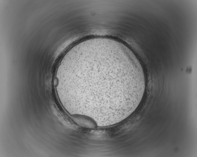 X0000114410440200911061605