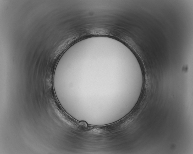 X0000114410441200911061605