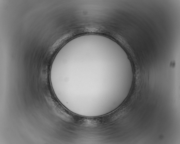 X0000114410442200911061605