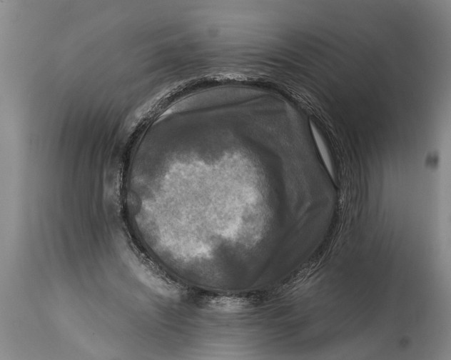 X0000114410444200911061605